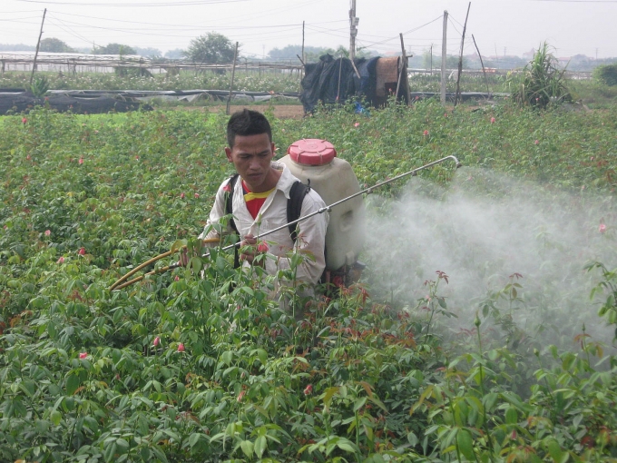 Giải pháp nào bảo đảm an toàn lao động trong lĩnh vực nông nghiệp? Giải pháp nào bảo đảm an toàn lao động trong lĩnh vực nông nghiệp?