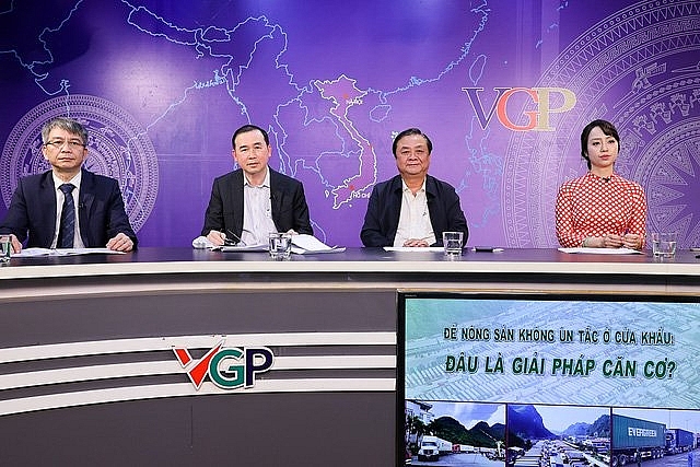 Lấy gì bảo đảm đầu ra cho nông sản Lấy gì bảo đảm đầu ra cho nông sản - Kỳ 2: Đối mặt với những nghịch lý