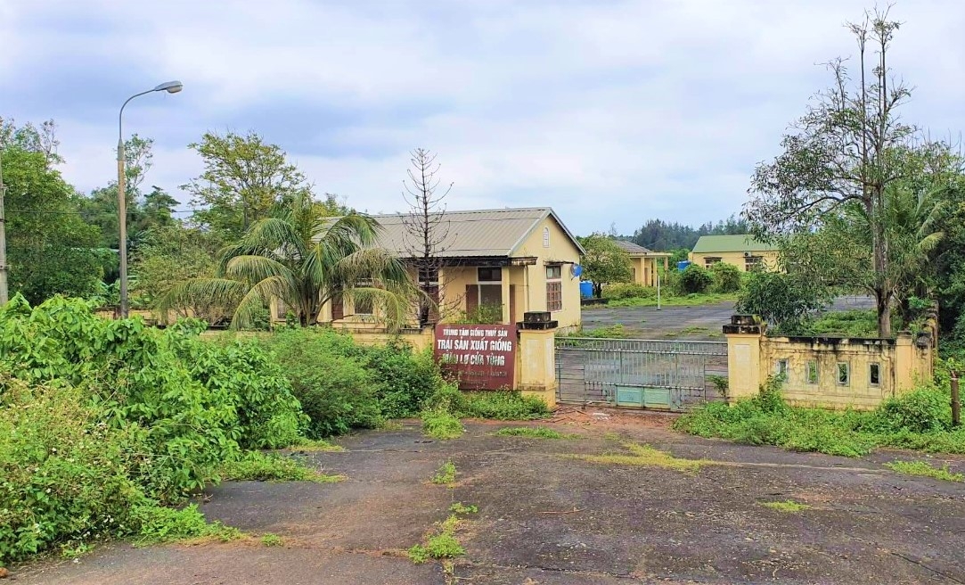 Quảng Trị: Một đơn vị thuộc sở bị nợ lương và BHXH nhiều tháng qua