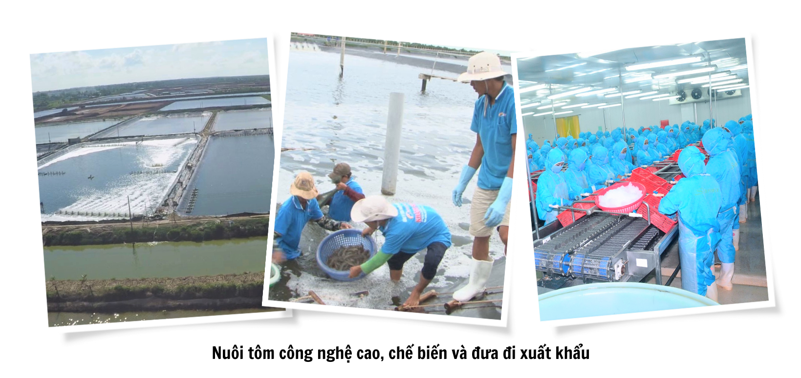 Những tiềm năng phát triển trên cung đường Nam sông Hậu Những tiềm năng phát triển trên cung đường Nam sông Hậu