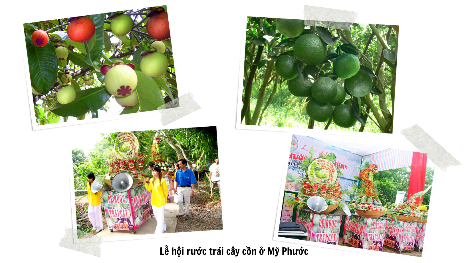 Những tiềm năng phát triển trên cung đường Nam sông Hậu Những tiềm năng phát triển trên cung đường Nam sông Hậu