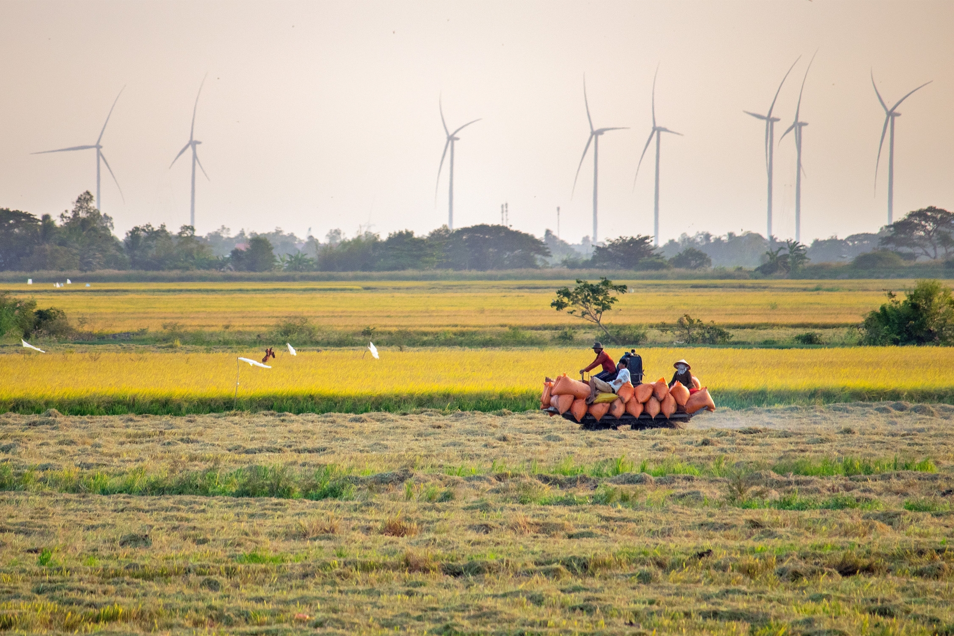 Những tiềm năng phát triển trên cung đường Nam sông Hậu Những tiềm năng phát triển trên cung đường Nam sông Hậu