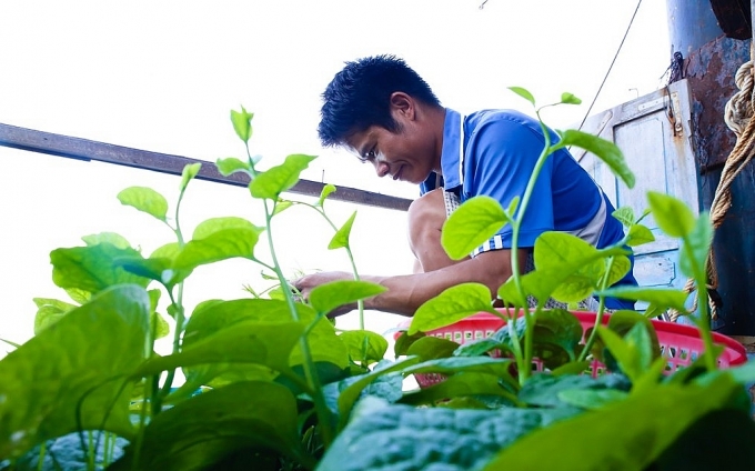 Công nhân trạm hải đăng đón Tết độc lập (2/9)