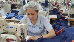 Giúp công nhân tránh xa “tín dụng đen”