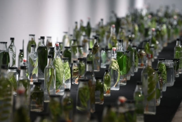 VCCA giới thiệu triển lãm “Toả IV” VCCA giới thiệu triển lãm “Toả IV”