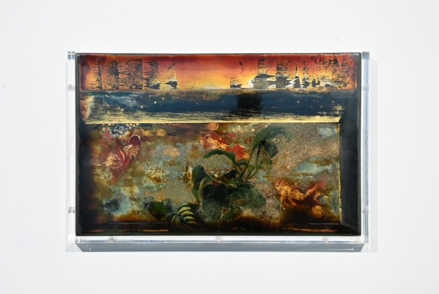 VCCA giới thiệu triển lãm “Toả IV” VCCA giới thiệu triển lãm “Toả IV”