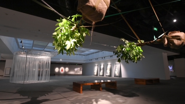 VCCA giới thiệu triển lãm “Toả IV” VCCA giới thiệu triển lãm “Toả IV”