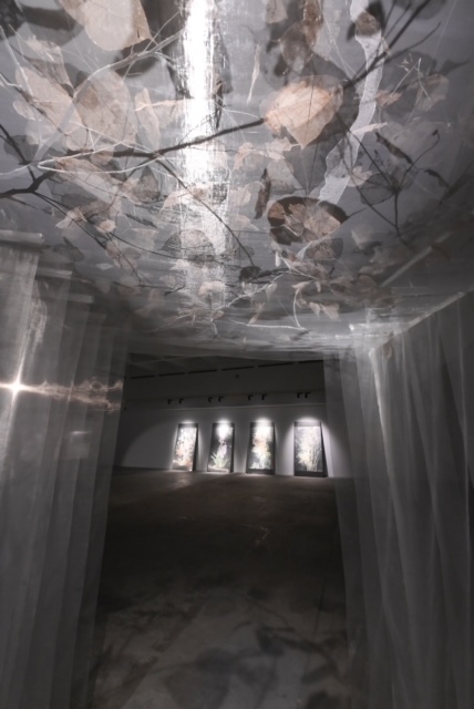 VCCA giới thiệu triển lãm “Toả IV” VCCA giới thiệu triển lãm “Toả IV”