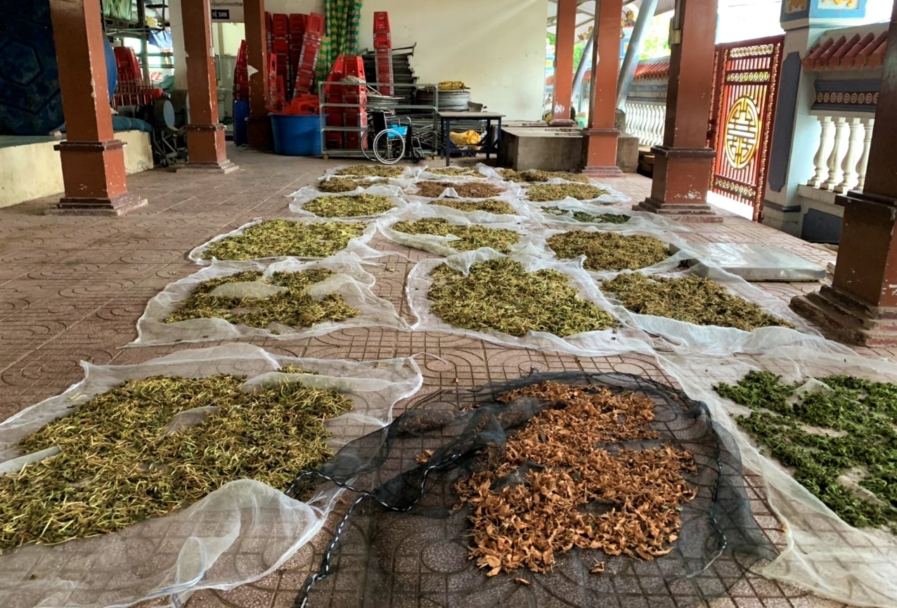 Bao giờ hết cỏ nước Nam…