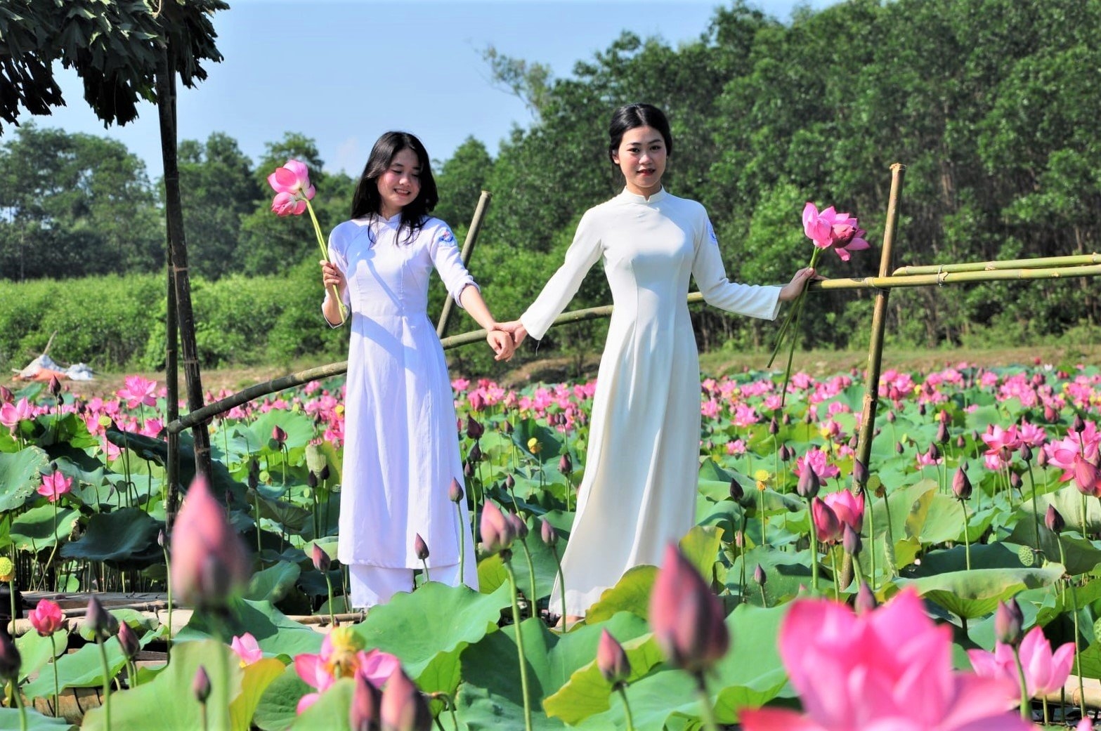 Quảng Trị phấn đấu có thêm 4 huyện nông thôn mới vào năm 2025