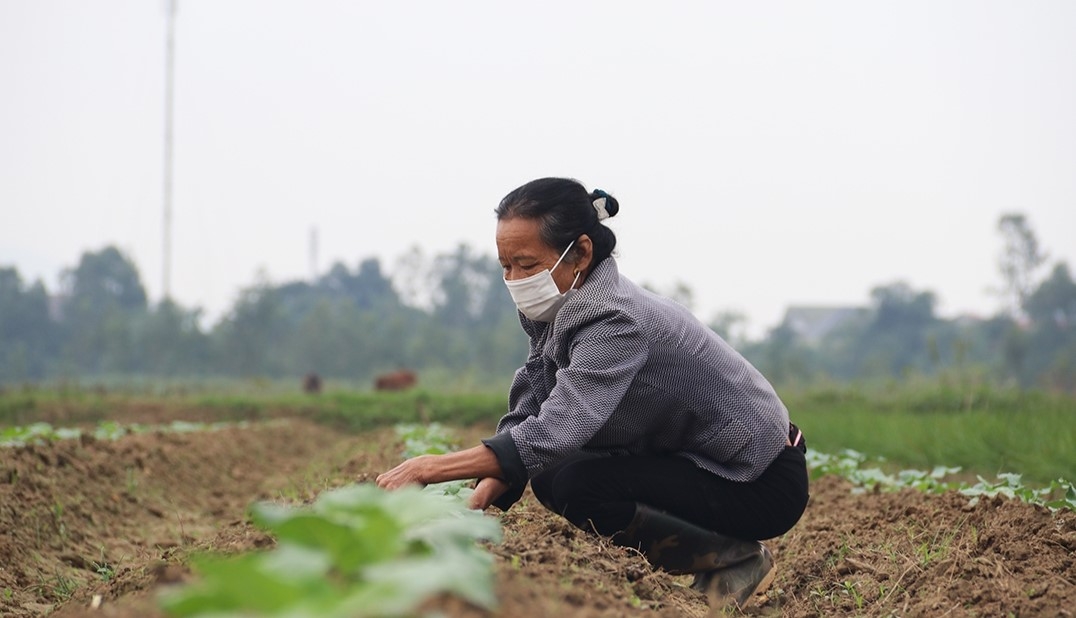 Rau siêu thị, rau chợ và bài toán lòng tin