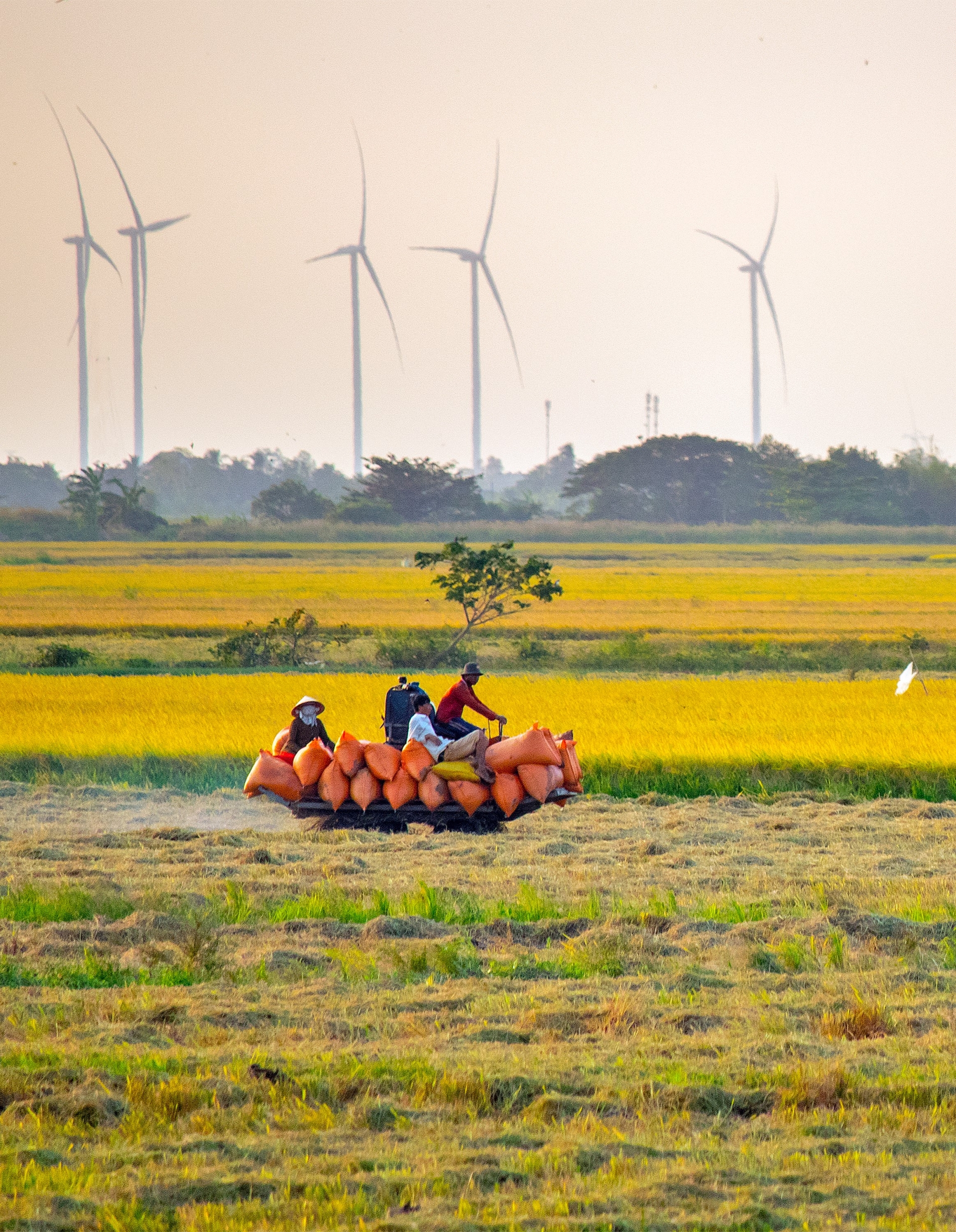 Có một dòng sông mang tên nàng công chúa Có một dòng sông mang tên nàng công chúa