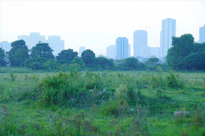 Gần 5.000ha ruộng bỏ hoang, nông dân lên phố mưu sinh