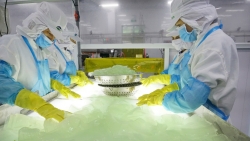 “Vua” nha đam sắp góp mặt trên thị trường chứng khoán