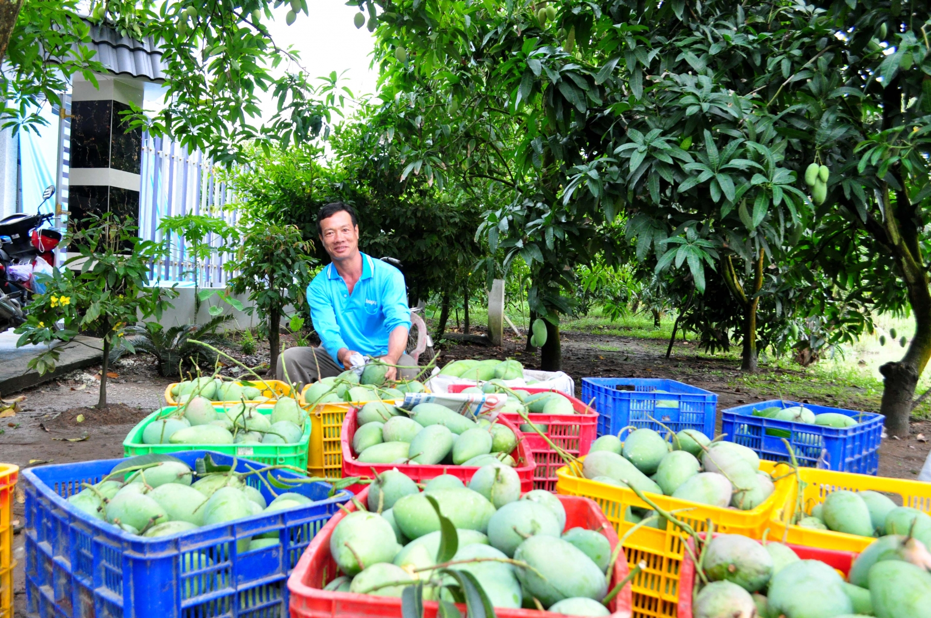 Cù Lao Dung - nốt son của Đồng bằng sông Cửu Long