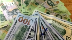 VND mất giá 8,6%, một số doanh nghiệp vẫn có thể hưởng lợi lớn