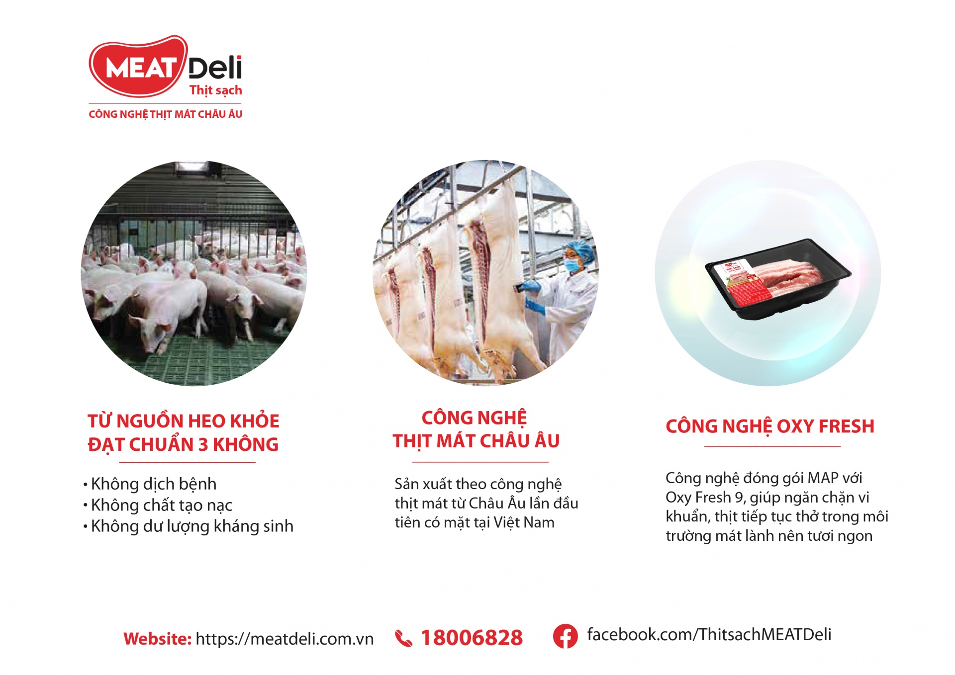 Thịt heo sạch MEATDeli được sản xuất theo công nghệ hiện đại, đảm bảo an toàn, giúp thịt mềm ngon, trọn dinh dưỡng. Thịt heo sạch MEATDeli được sản xuất theo công nghệ hiện đại, đảm bảo an toàn, giúp thịt mềm ngon, trọn dinh dưỡng.