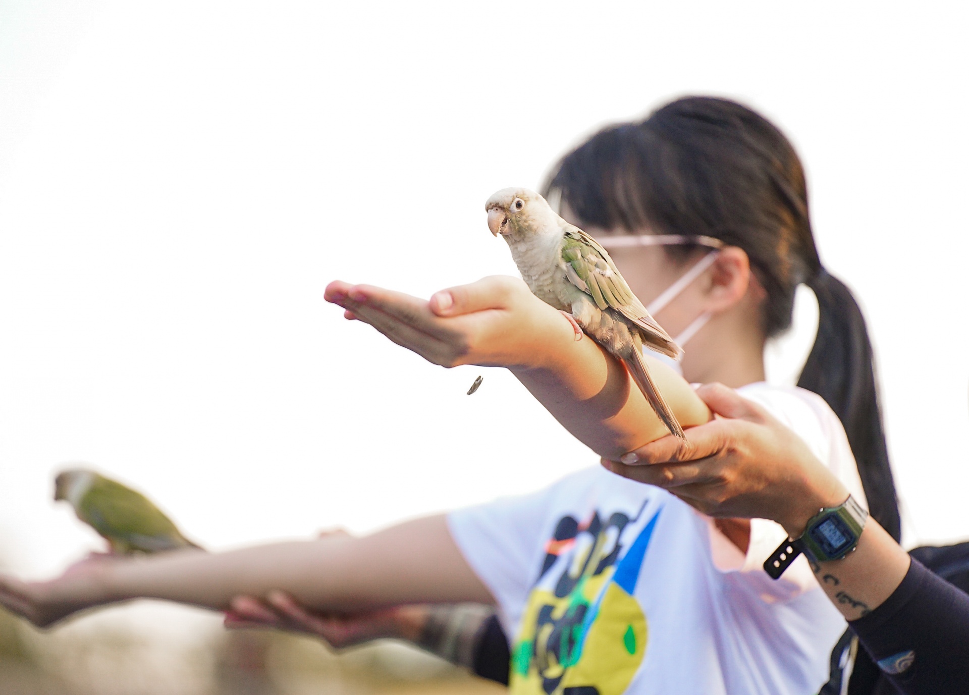 Show Vũ điệu chim trời lần đầu tiên có mặt ở Quảng Ninh Show Vũ điệu chim trời lần đầu tiên có mặt ở Quảng Ninh