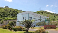 EVNGENCO3 tạm ứng cổ tức năm 2022 với tỷ lệ 5,5%