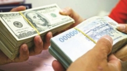 Doanh nghiệp ở thế lưỡng nan giữa áp lực tỷ giá và chi phí tăng cao