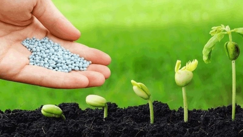 Lợi nhuận doanh nghiệp phân bón quý 3: Đi qua “mùa hoa đẹp nhất”