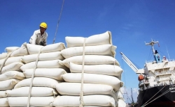 Thái Lan giành lại vị trí nhà xuất khẩu gạo lớn thứ 2 thế giới