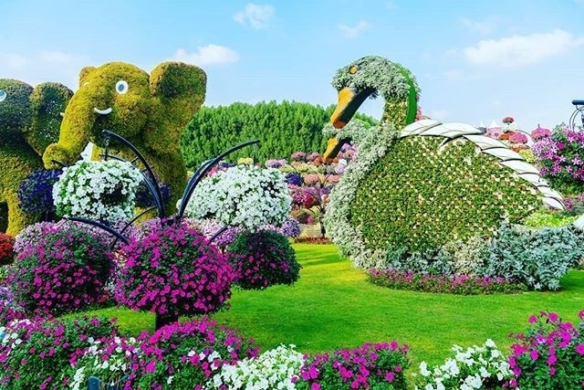 Festival Hoa Đà Lạt: Sự kiện văn hóa và cơ hội việc làm