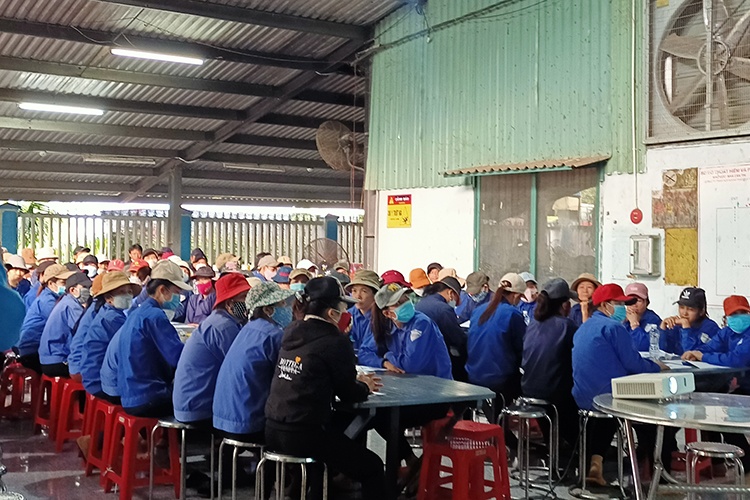 Bình Định: Tổ chức tuyên truyền tư vấn pháp luật cho đoàn viên, NLĐ Bình Định: Tổ chức tuyên truyền tư vấn pháp luật cho đoàn viên, NLĐ