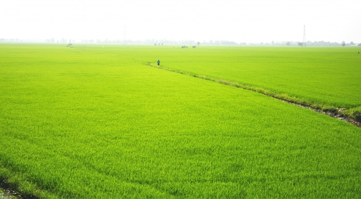 Có một dòng kênh mang tên Võ Văn Kiệt