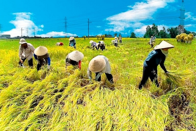 Nhịp đập kinh tế Việt Nam 2022: Vực dậy thị trường lao động Nhịp đập kinh tế Việt Nam 2022: Vực dậy thị trường lao động