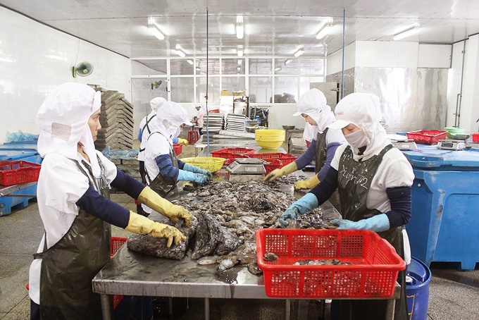 Hàng nghìn công nhân Đà Nẵng bị mất việc, giảm giờ làm giáp Tết Hàng nghìn công nhân Đà Nẵng bị mất việc, giảm giờ làm giáp Tết