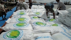 Xuất khẩu gạo đóng vai trò chủ đạo trong thương mại song phương Việt Nam – Philippines