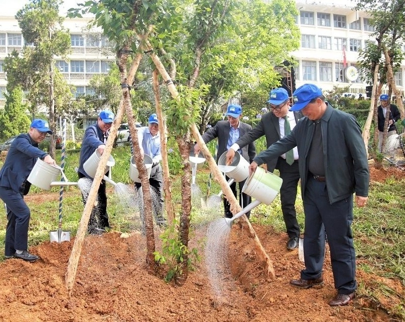 Tăng độ che phủ xanh góp phần phòng chống thiên tai, biến đổi khí hậu