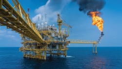 Đâu là động lực thực sự giúp PVD trở thành cổ phiếu khỏe nhất nhóm Dầu khí?