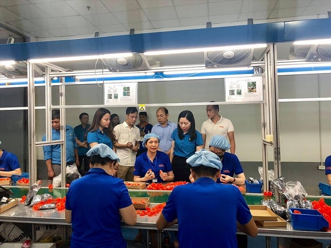 Bàn về đổi mới tổ chức Công đoàn ngành trong kinh tế thị trường và hội nhập quốc tế