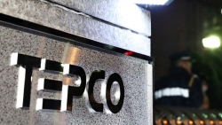 TEPCO Renewable Power "mua hớ" gần 25% vốn của CTCP Phát triển điện lực Việt Nam?