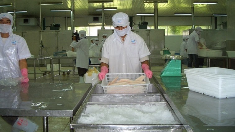 Cá tra xuất khẩu và nốt trầm chế biến sâu