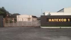 "Công ty Dệt 19/5 sẽ trả hết nợ lương công nhân trong nay mai"