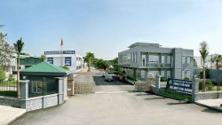 Hóa Chất Đức Giang đứng sau mua lại 46% cổ phần Ắc quy Tia Sáng khi Vinachem thoái vốn?