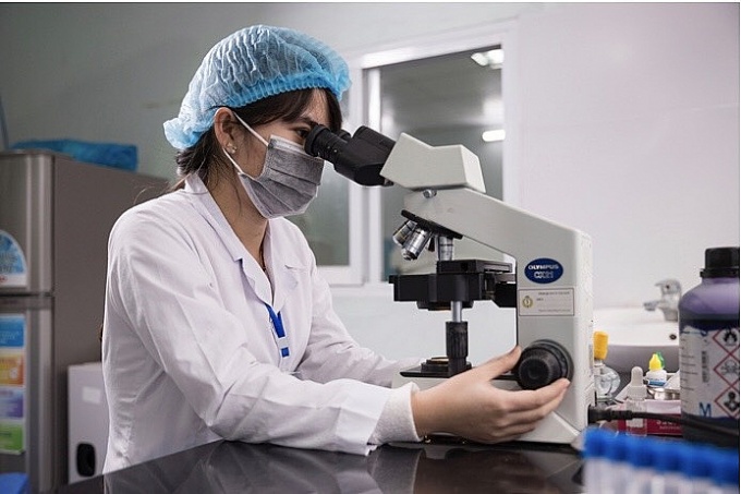 Tuần hoàn chất xám: Từ mất mát đến hưởng lợi