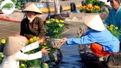 Về miền Tây Nam Bộ ăn Tết