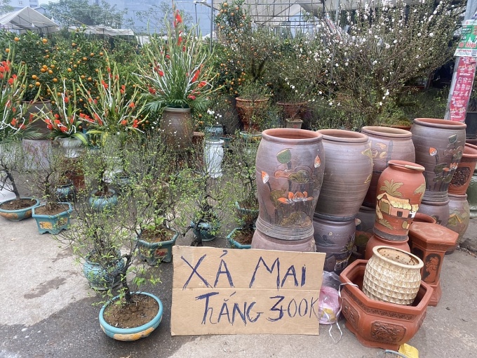 Không khí ngày 29 Tết: Tiểu thương lo lắng vì ế ẩm Không khí ngày 29 Tết: Tiểu thương lo lắng vì ế ẩm