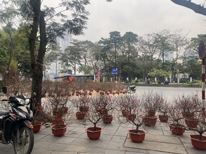 Không khí ngày 29 Tết: Tiểu thương lo lắng vì ế ẩm Không khí ngày 29 Tết: Tiểu thương lo lắng vì ế ẩm