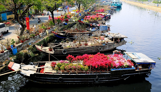 Hoa Tết trên bến Bình Đông: Lưu giữ nét đẹp của Sài Gòn xưa Hoa Tết trên bến Bình Đông: Lưu giữ nét đẹp của Sài Gòn xưa