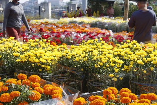 Hoa Tết trên bến Bình Đông: Lưu giữ nét đẹp của Sài Gòn xưa Hoa Tết trên bến Bình Đông: Lưu giữ nét đẹp của Sài Gòn xưa