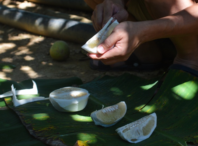 Miệt vườn Thanh trà xứ Huế Miệt vườn Thanh trà xứ Huế