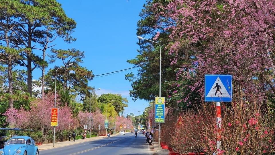 Những người quên mình cho đường phố Đà Lạt “xanh - sạch - đẹp” ngày Tết