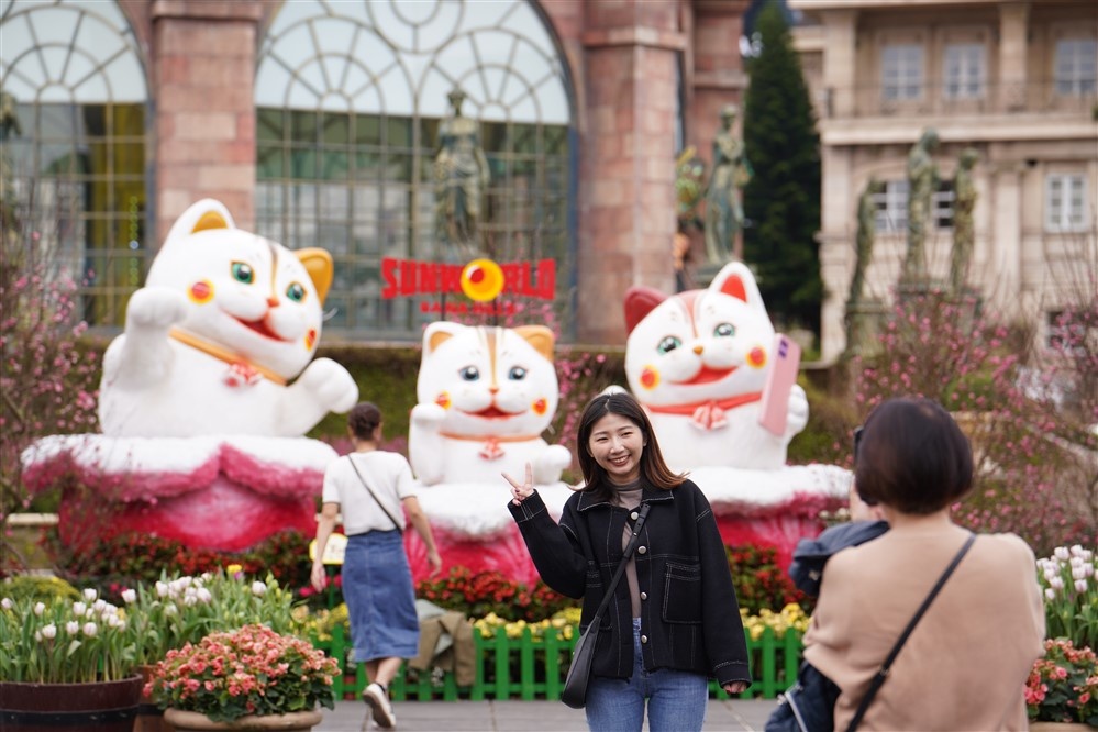 Du khách háo hức tới Bà Nà thưởng hoa đào chuông, xem show xe cổ