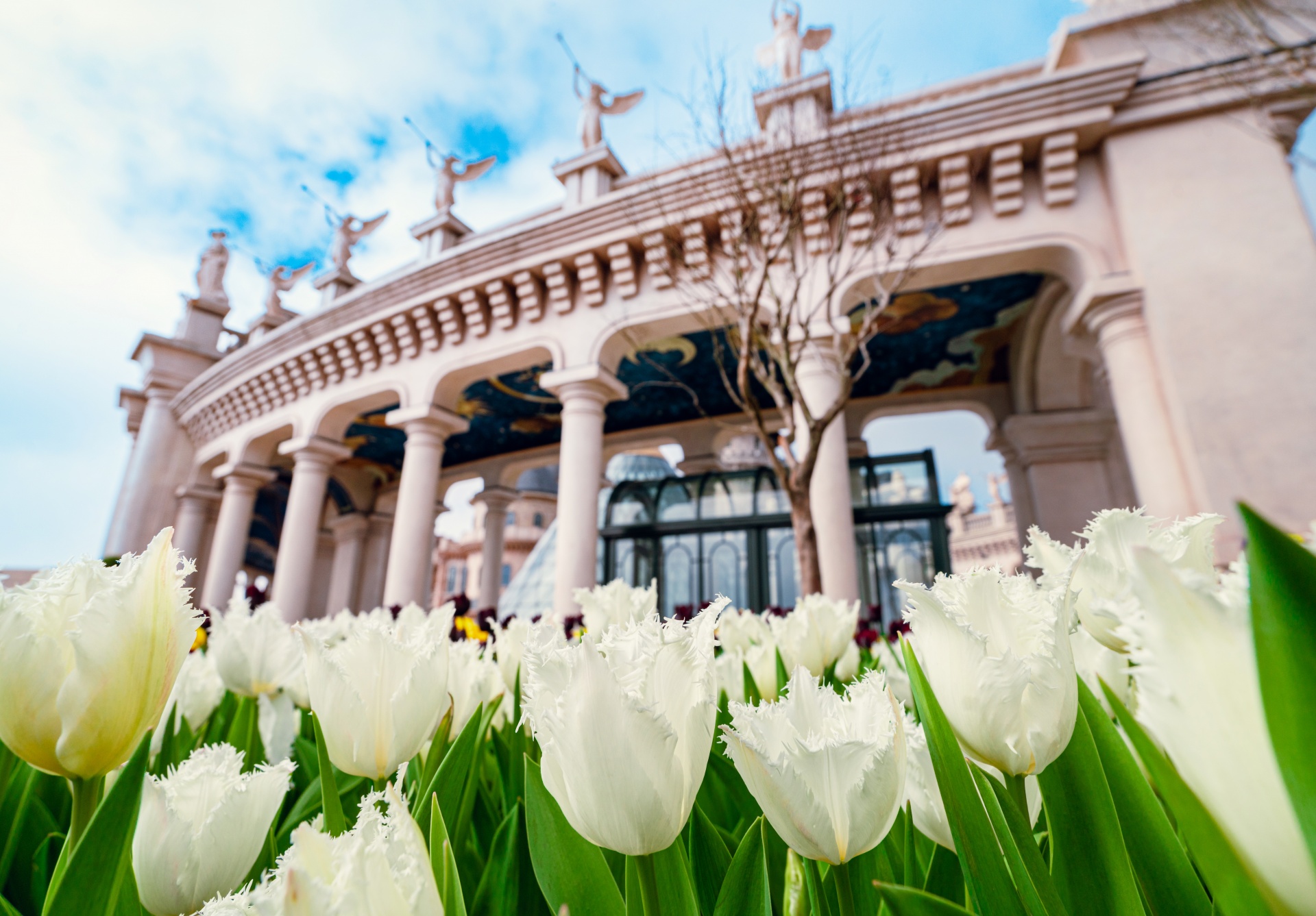 Ngắm biển mây đẹp như cổ tích tại Bà Nà