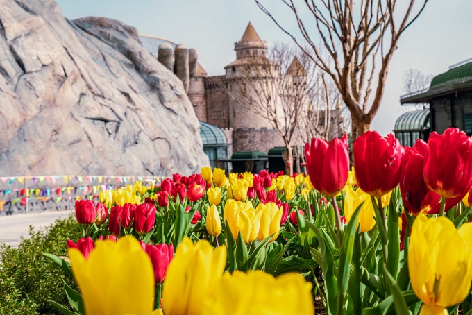 Hành trình mùa xuân kỳ diệu trên đỉnh Bà Nà Hành trình mùa xuân kỳ diệu trên đỉnh Bà Nà